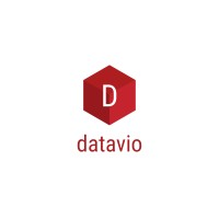 Datavio.ai Company Logo